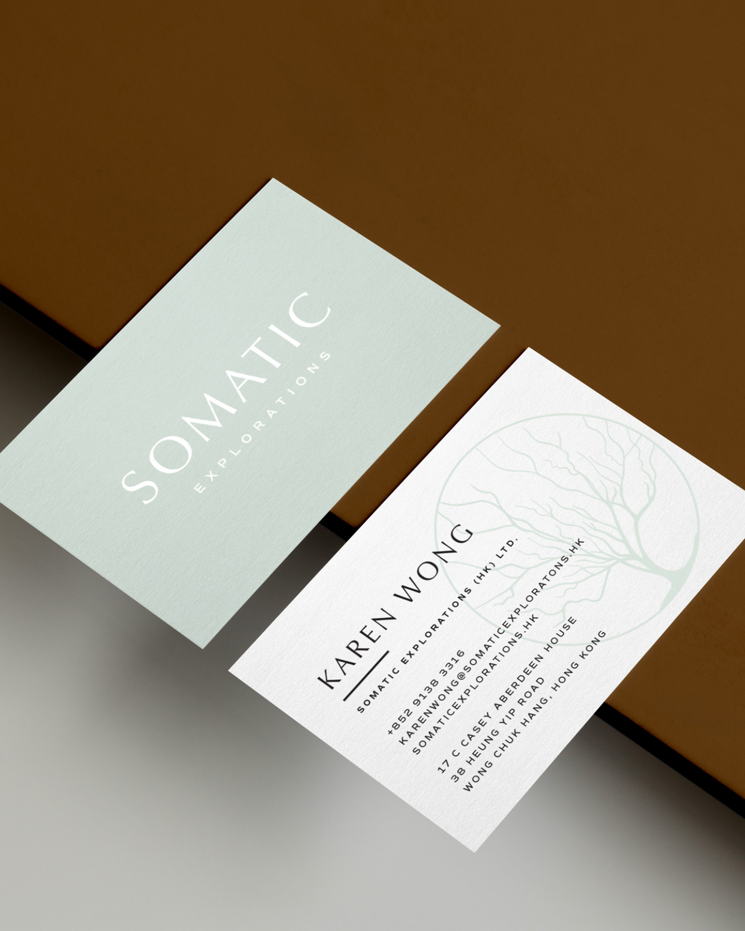 Brand business card mockup - Somatic Explorations - Whiskey and Red Small Business Branding and Website Design Packages