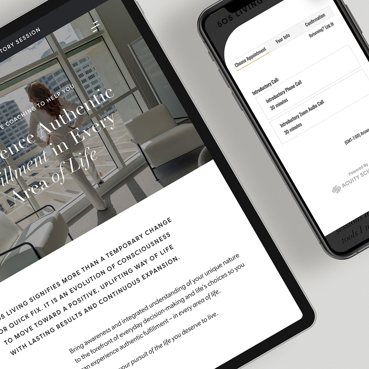 Website mockup tablet ipad mobile iphone with appointment scheduling - Systems Consulting and Integrations - Whiskey and Red Small Business Branding and Website Design Packages