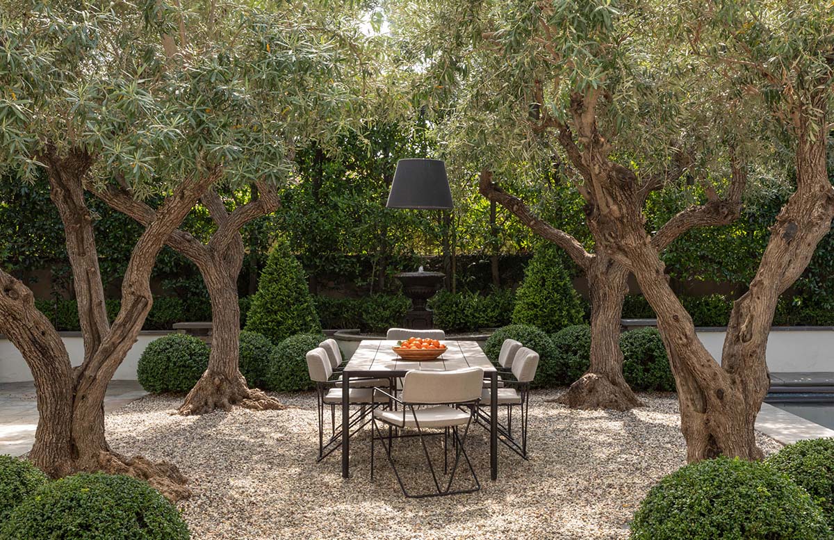 The homepage background image of the Jack Haley Exterior website, showcasing a serene outdoor dining area with a modern table and chairs under mature olive trees, reflecting eco-luxury landscape design.