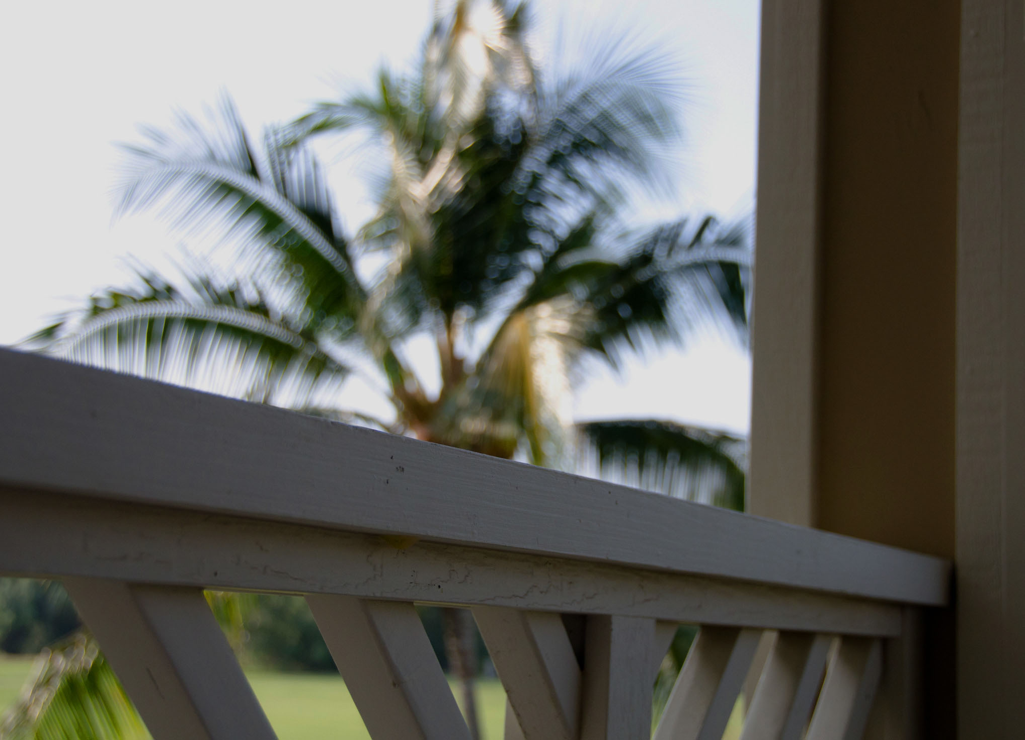 Blurred view of palm trees through a white wooden railing, evoking the tropical essence of Hawaii.