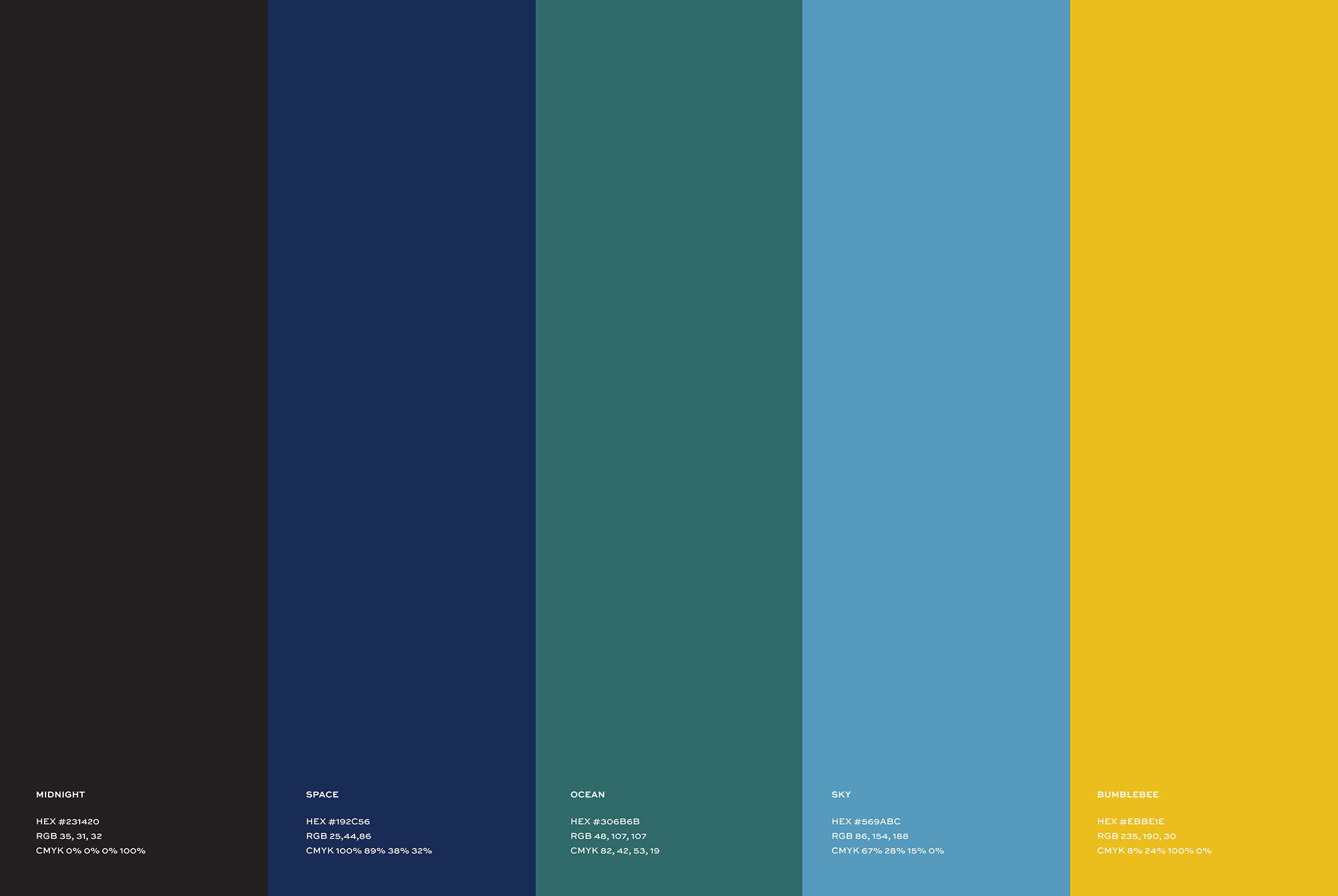 Gumption Pictures custom brand color palette featuring teal, yellow, and gray tones, designed by Whiskey & Red for a cohesive visual identity.