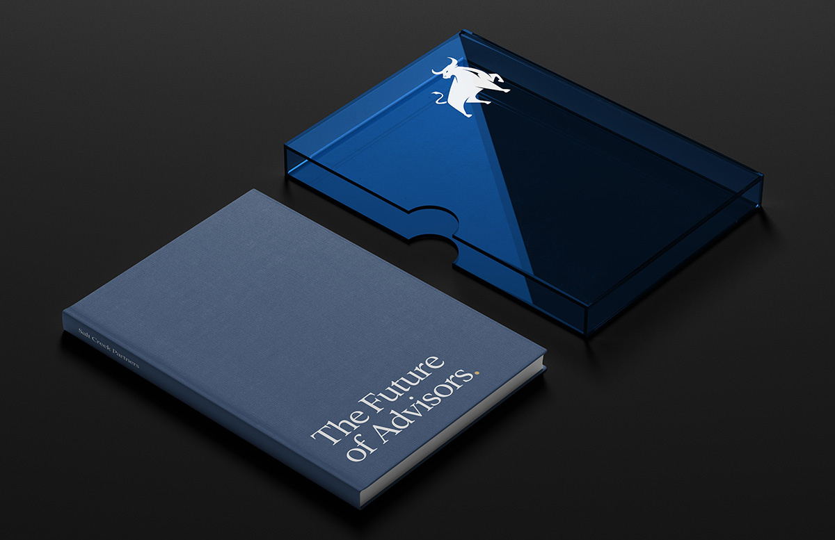 Book design mockup showing branding and logo design for a financial advisor