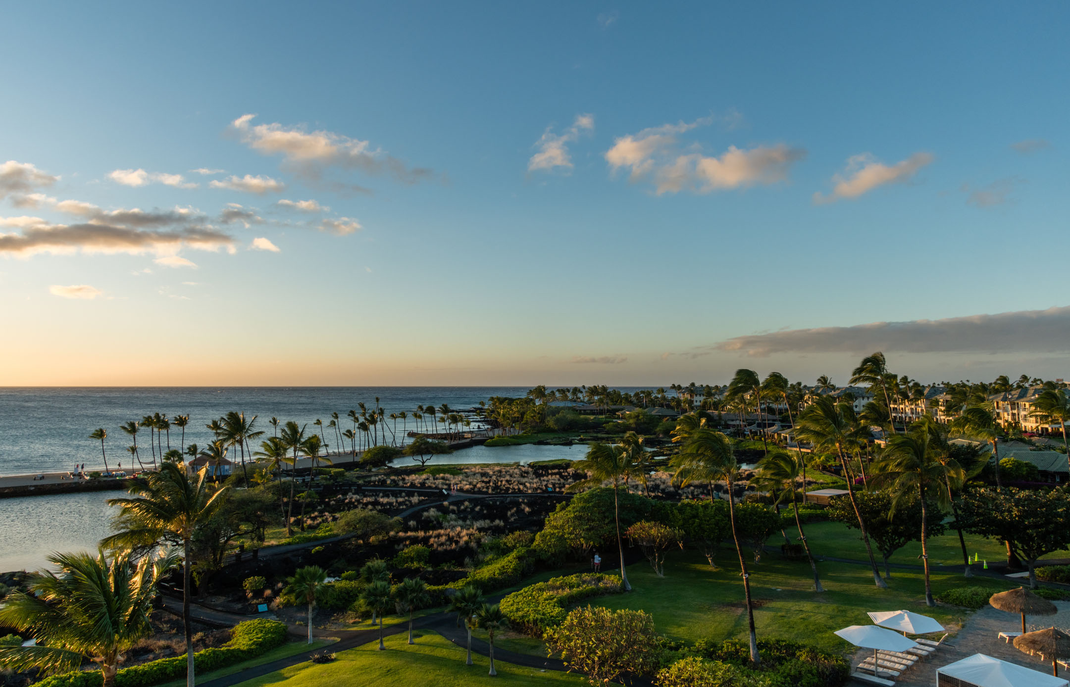 Scenic view of Hawaii’s Big Island coastline at sunset, featuring lush greenery, palm trees, and the tranquil ocean in the distance.