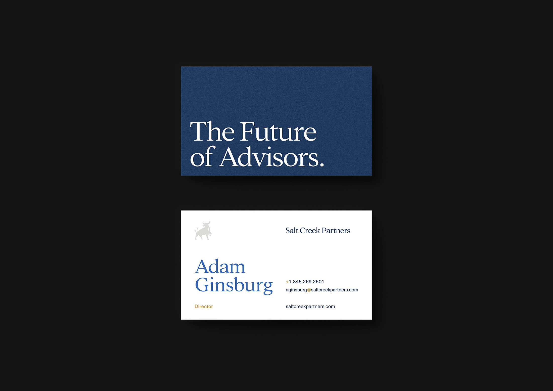 Two-sided business card design for Salt Creek Partners with “The Future of Advisors” on the front and contact details on the back, featuring the bull logo.