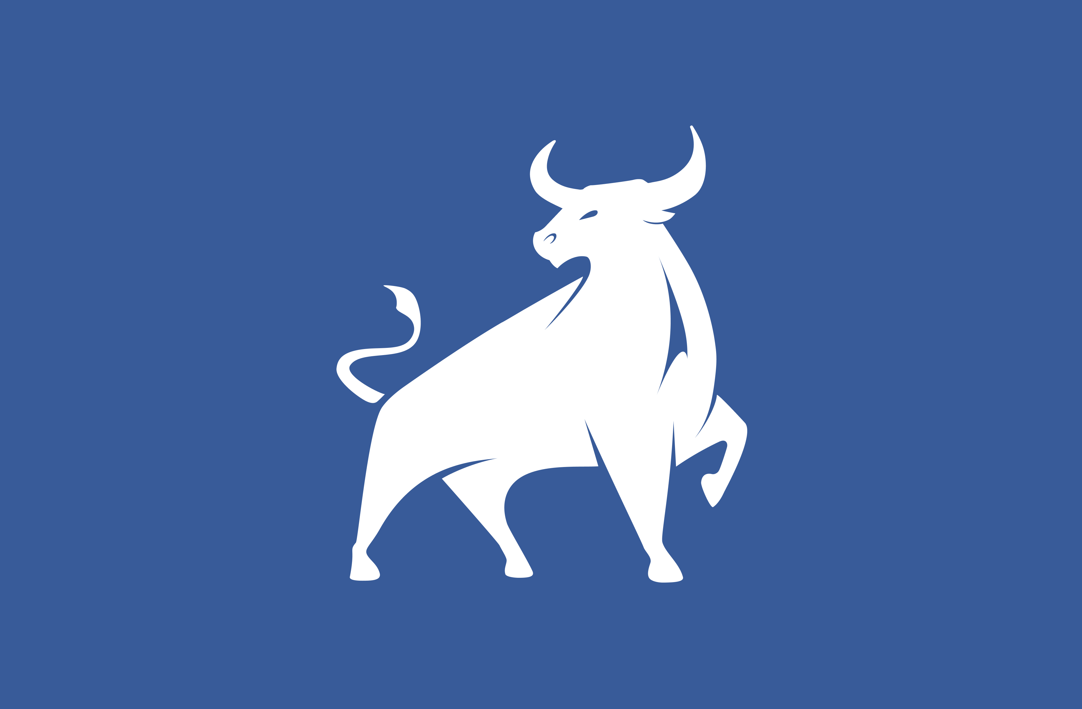 White bull logo on a blue background, symbolizing strength and confidence for Salt Creek Partners’ brand identity.