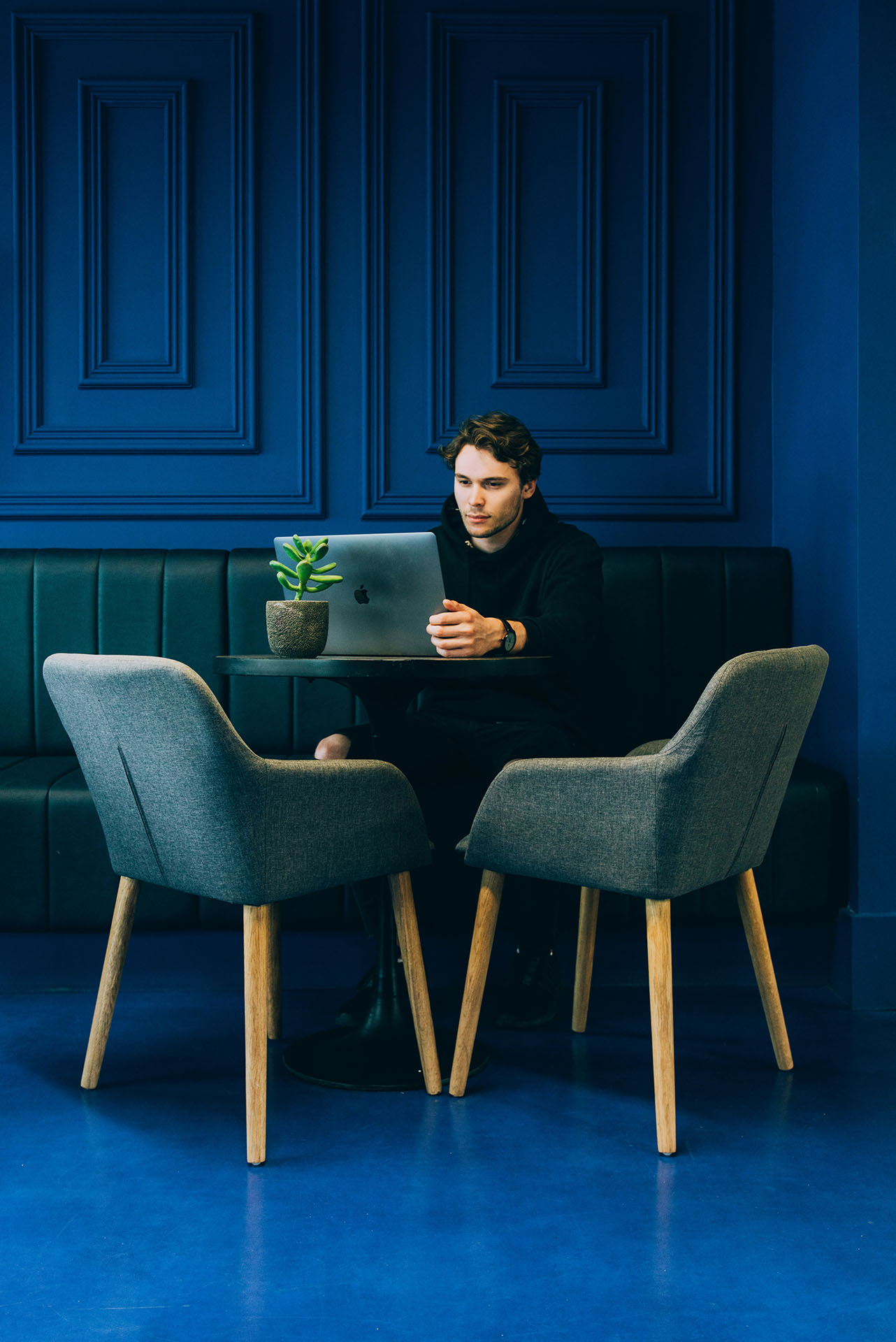 Man sitting at a table in a modern blue-themed interior, working on a laptop with a small potted plant beside him.