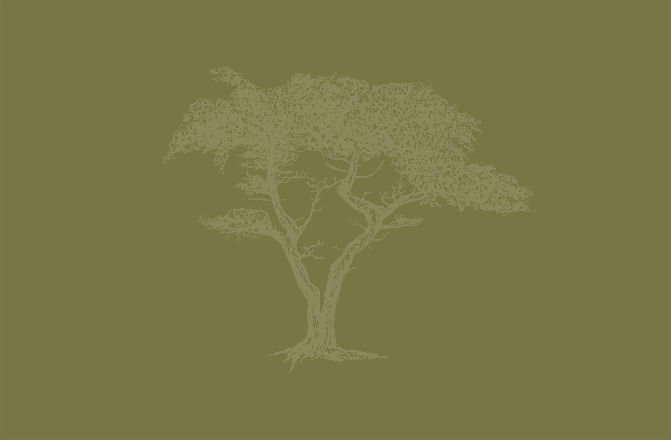 Illustrated oak tree emblem in soft green, representing the 17 Mile Drive brand identity.
